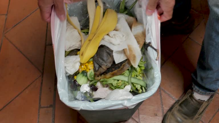 Best Estate Cleanout  in Willow Grove, PA